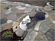 Walkway & Patios